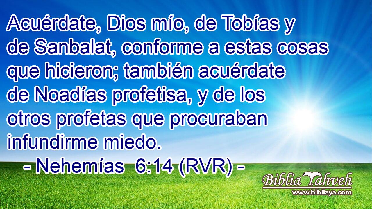 Acuérdate, Dios mío, de Tobías y de Sanbalat, conforme a estas cosas que hicieron; también acuérdate de Noadías profetisa, y de los otros profetas que procuraban infundirme miedo.
