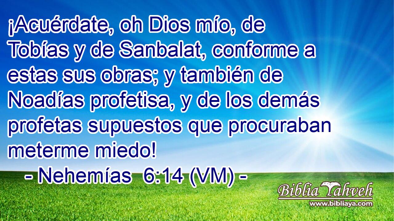  ¡Acuérdate, oh Dios mío, de Tobías y de Sanbalat, conforme a estas sus obras; y también de Noadías profetisa, y de los demás profetas supuestos que procuraban meterme miedo! 