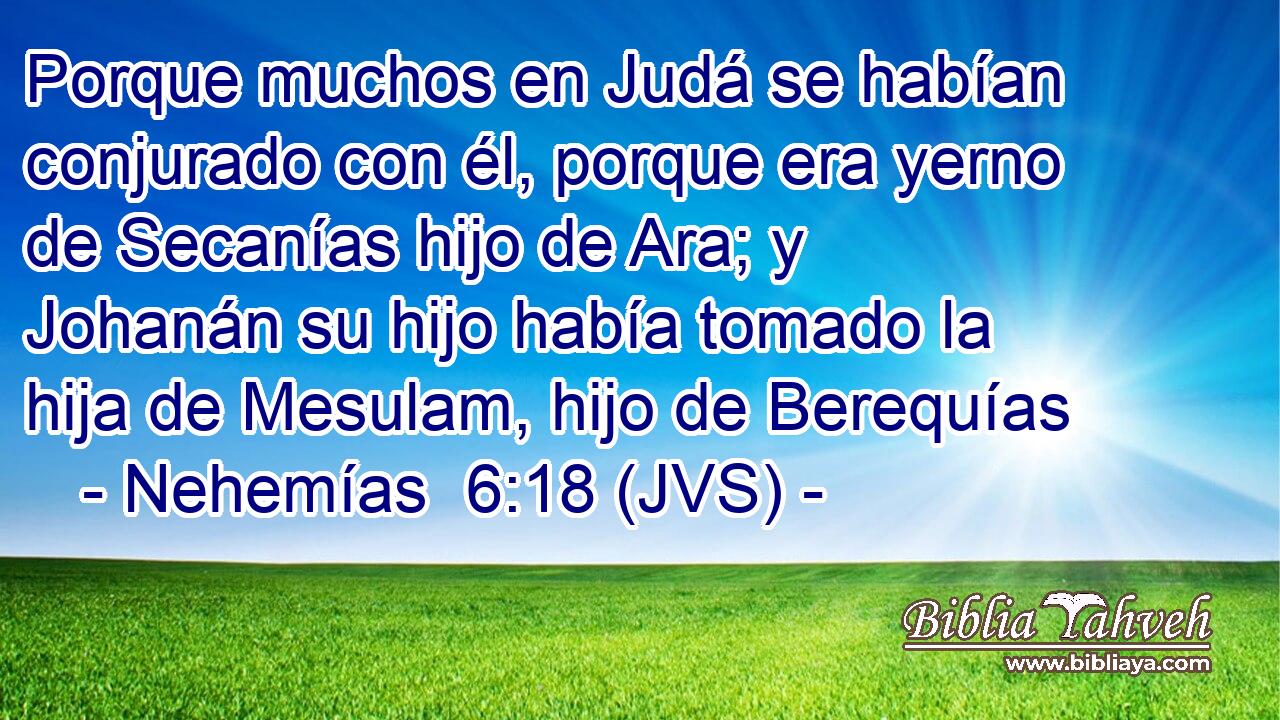Porque muchos en Judá se habían conjurado con él, porque era yerno de Secanías hijo de Ara; y Johanán su hijo había tomado la hija de Mesulam, hijo de Berequías