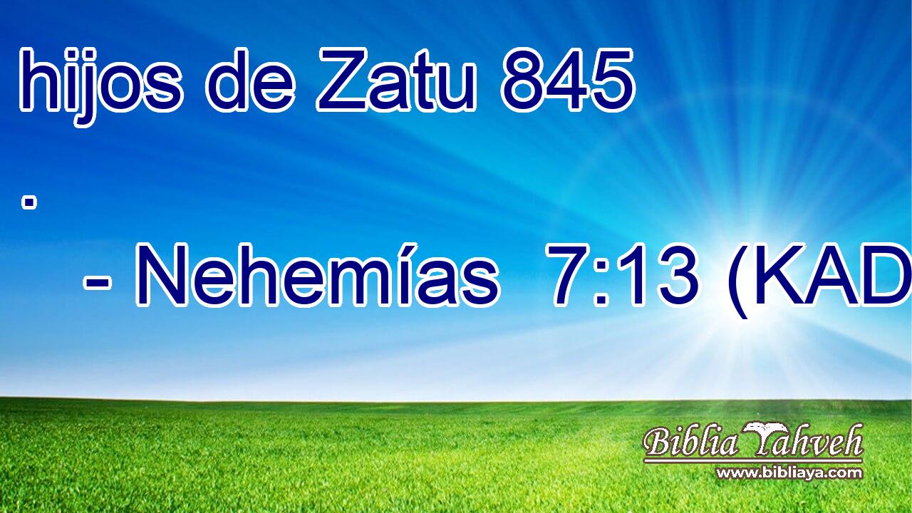  hijos de Zatu 845 . 
