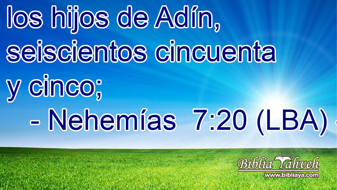 los hijos de Adín, seiscientos cincuenta y cinco;