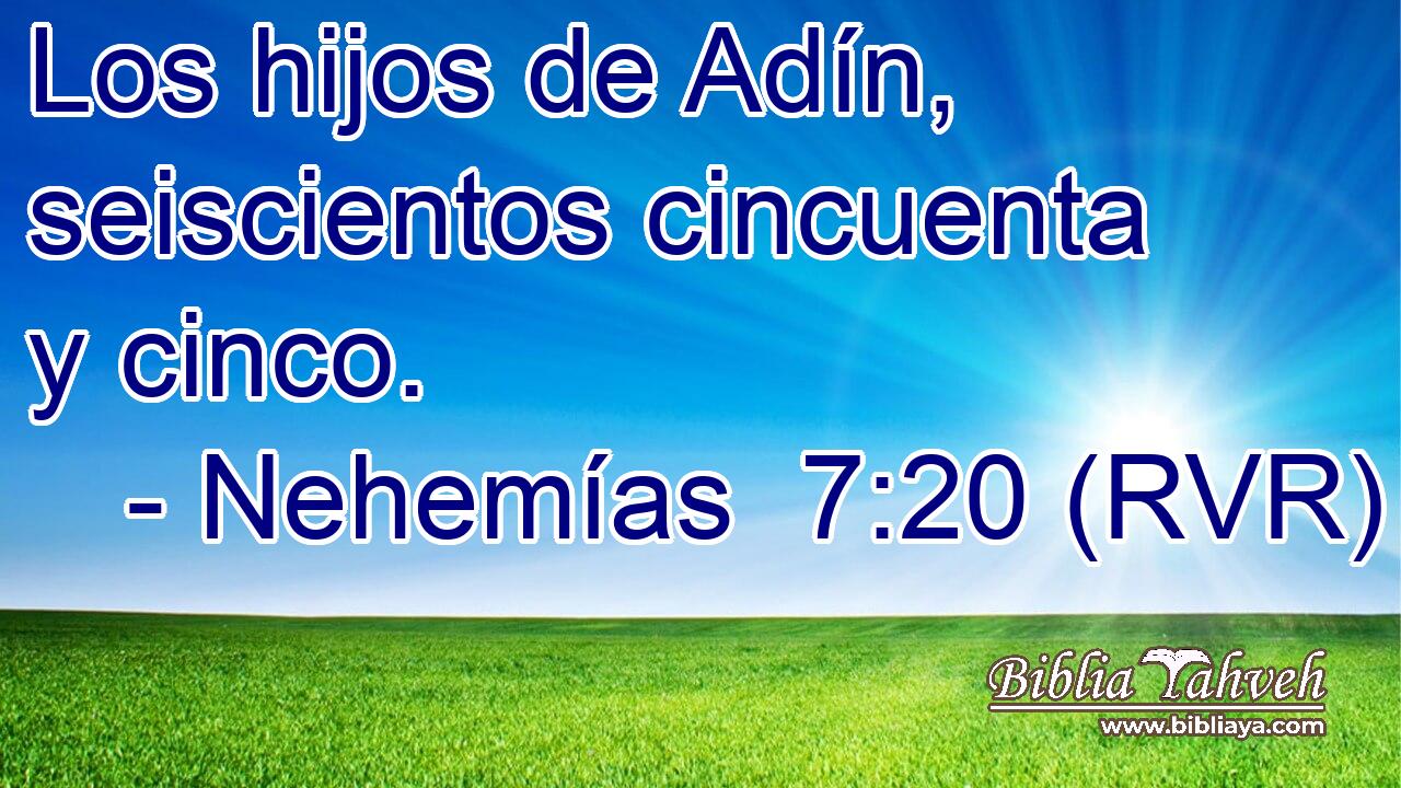 Los hijos de Adín, seiscientos cincuenta y cinco.