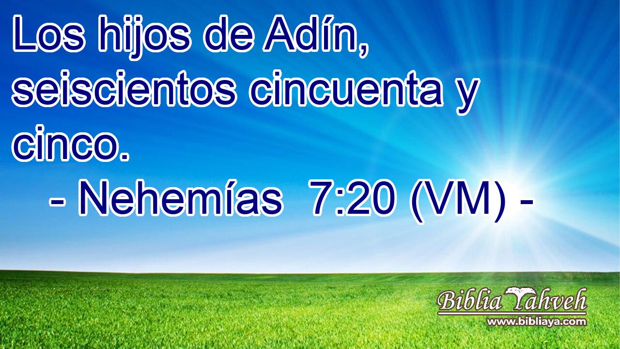  Los hijos de Adín, seiscientos cincuenta y cinco. 