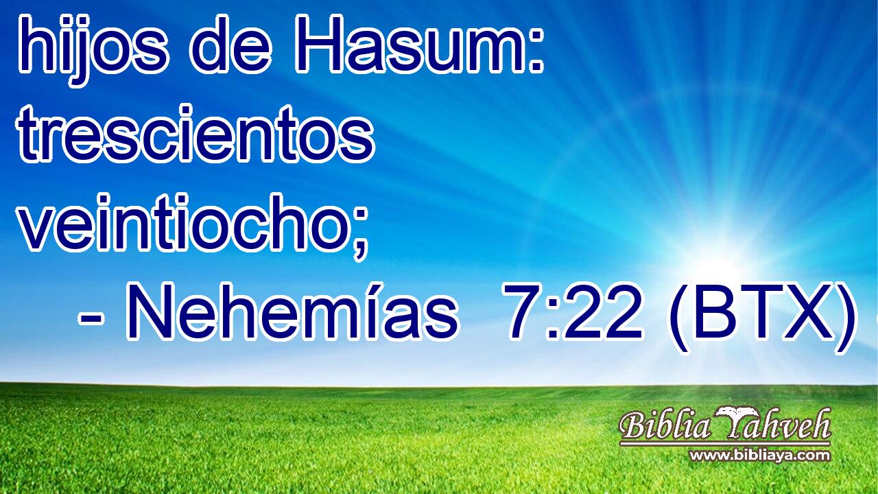hijos de Hasum: trescientos veintiocho;