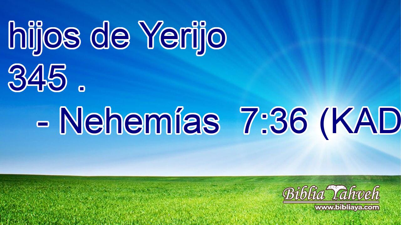  hijos de Yerijo 345 . 