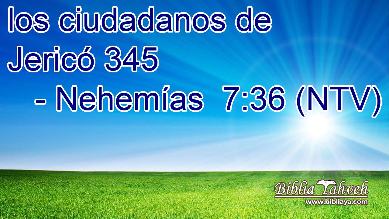 los ciudadanos de Jericó 345  