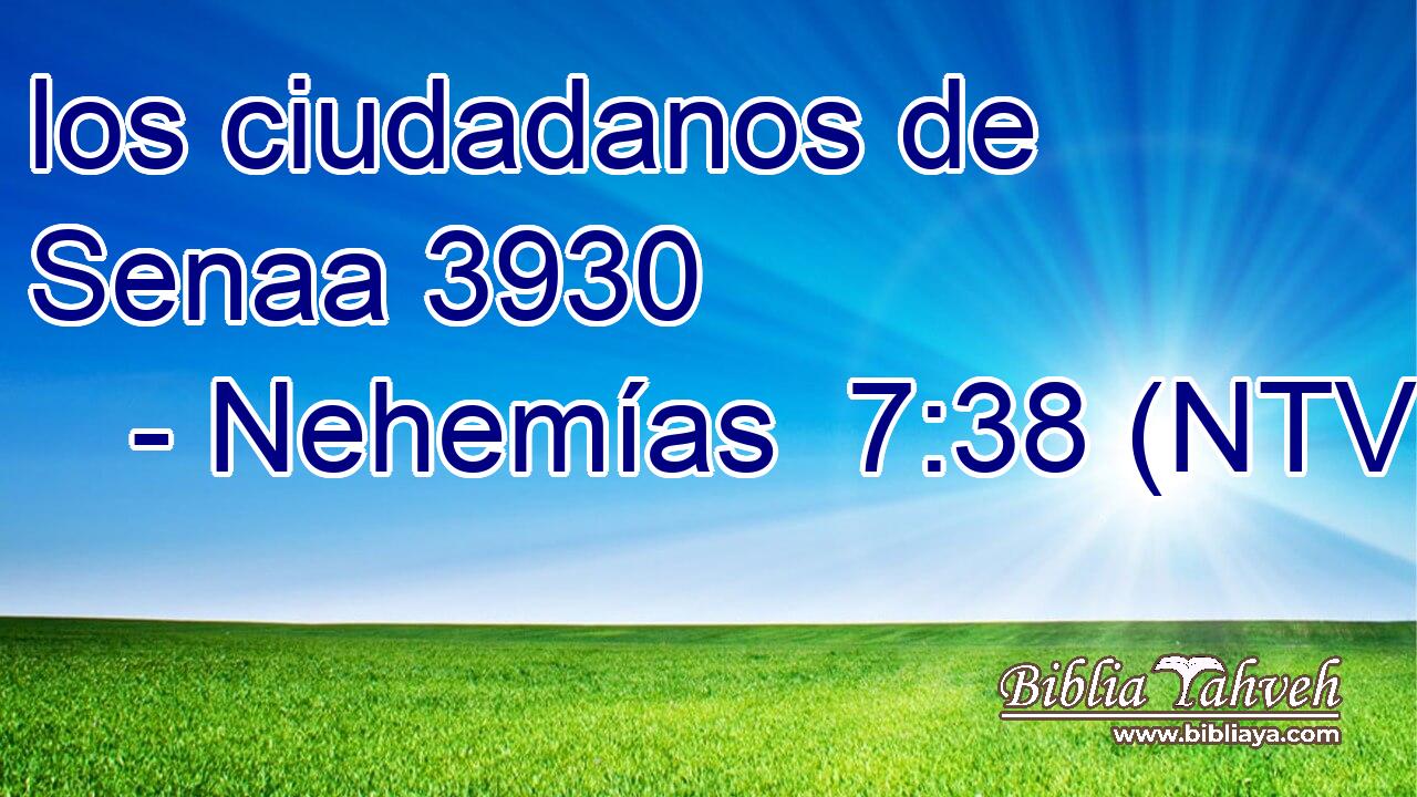 los ciudadanos de Senaa 3930  
