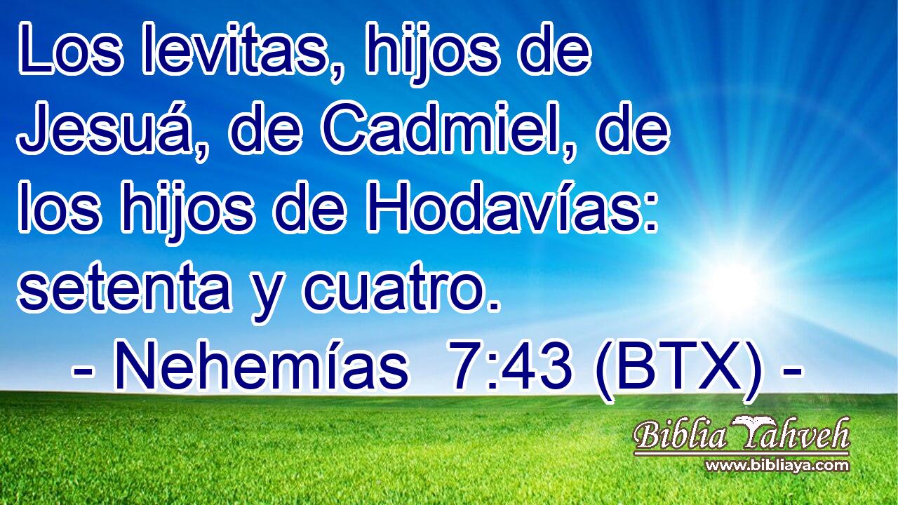 Los levitas, hijos de Jesuá, de Cadmiel, de los hijos de Hodavías: setenta y cuatro.