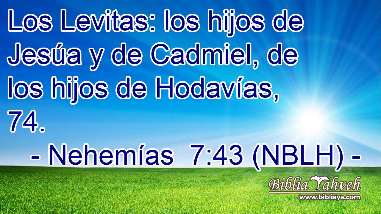  Los Levitas: los hijos de Jesúa y de Cadmiel, de los hijos de Hodavías, 74. 