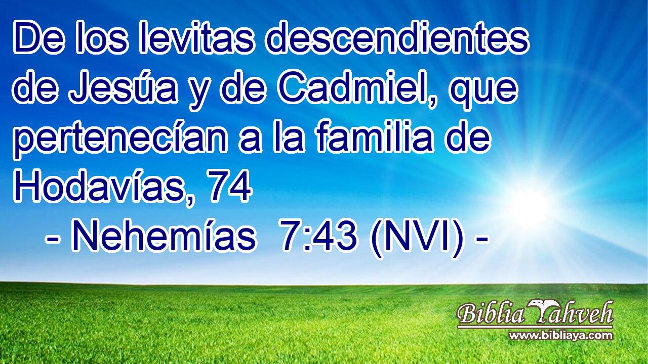  De los levitas descendientes de Jesúa y de Cadmiel, que pertenecían a la familia de Hodavías, 74 
