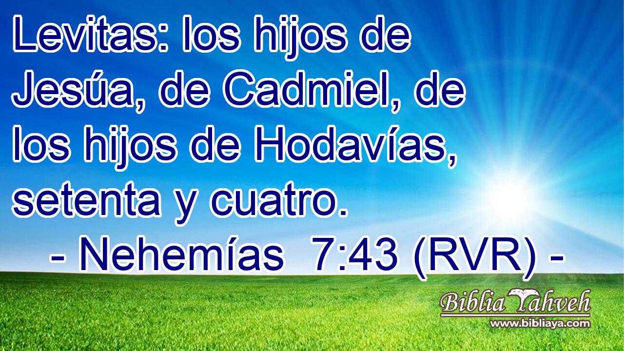 Levitas: los hijos de Jesúa, de Cadmiel, de los hijos de Hodavías, setenta y cuatro.