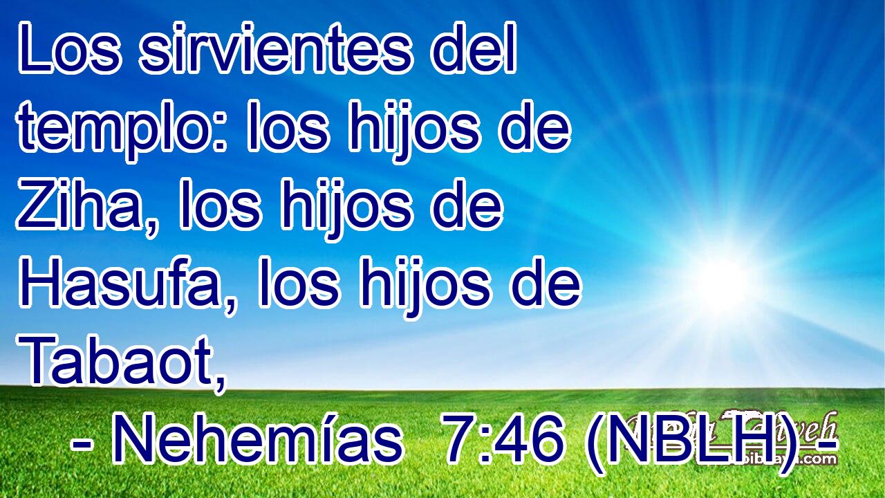  Los sirvientes del templo: los hijos de Ziha, los hijos de Hasufa, los hijos de Tabaot, 