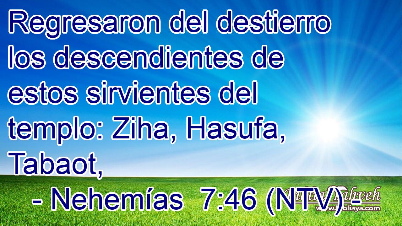 Regresaron del destierro los descendientes de estos sirvientes del templo: Ziha, Hasufa, Tabaot,