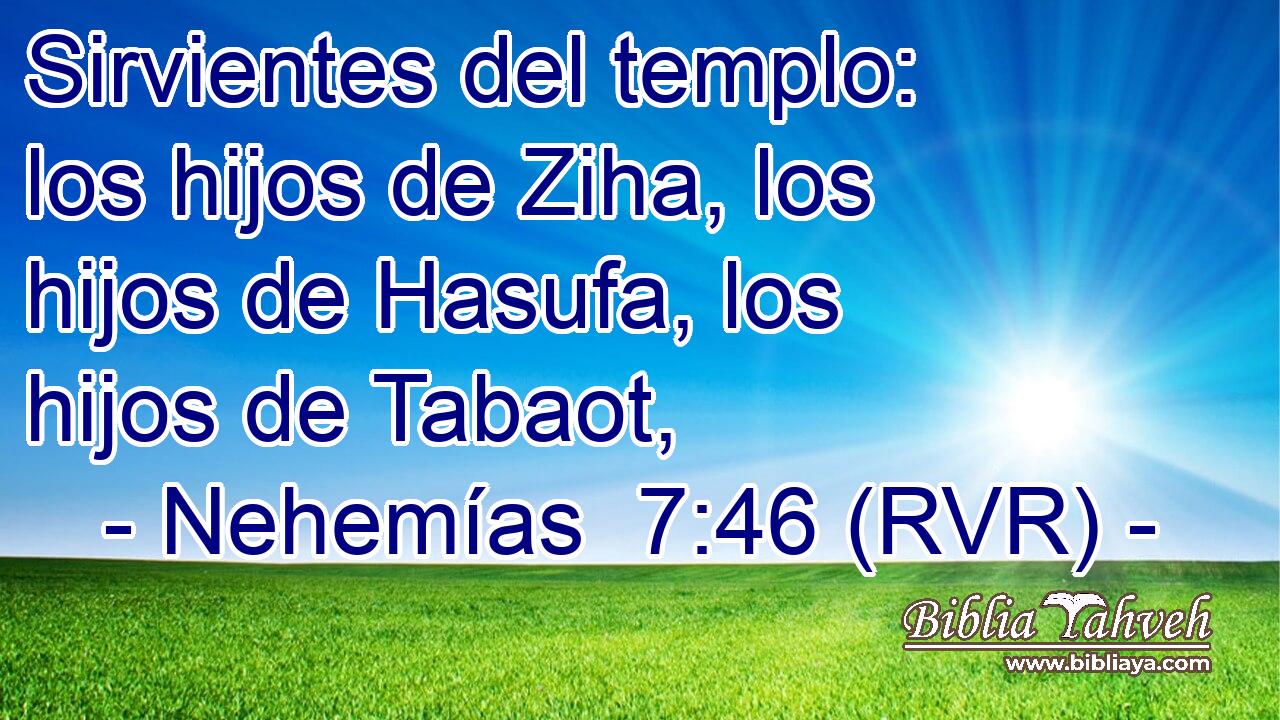 Sirvientes del templo: los hijos de Ziha, los hijos de Hasufa, los hijos de Tabaot,