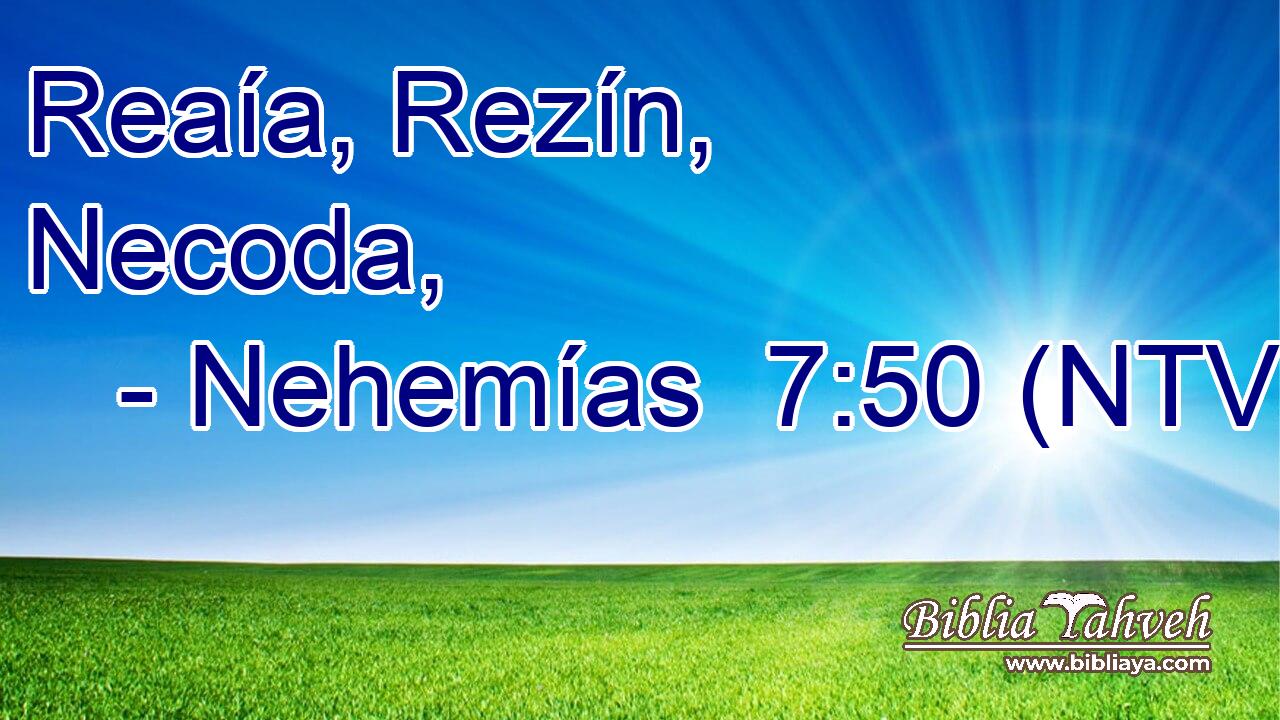 Reaía, Rezín, Necoda,