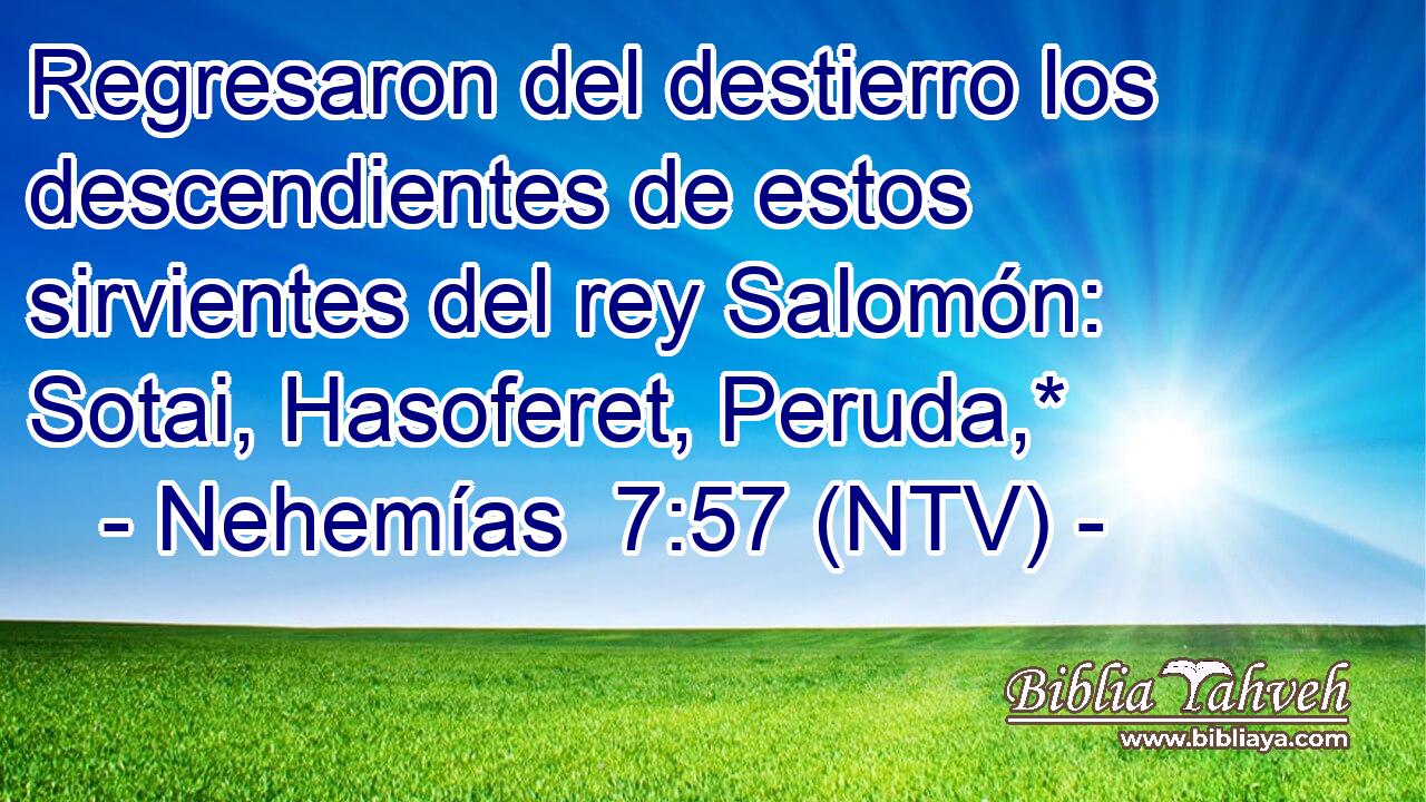 Regresaron del destierro los descendientes de estos sirvientes del rey Salomón: Sotai, Hasoferet, Peruda,*