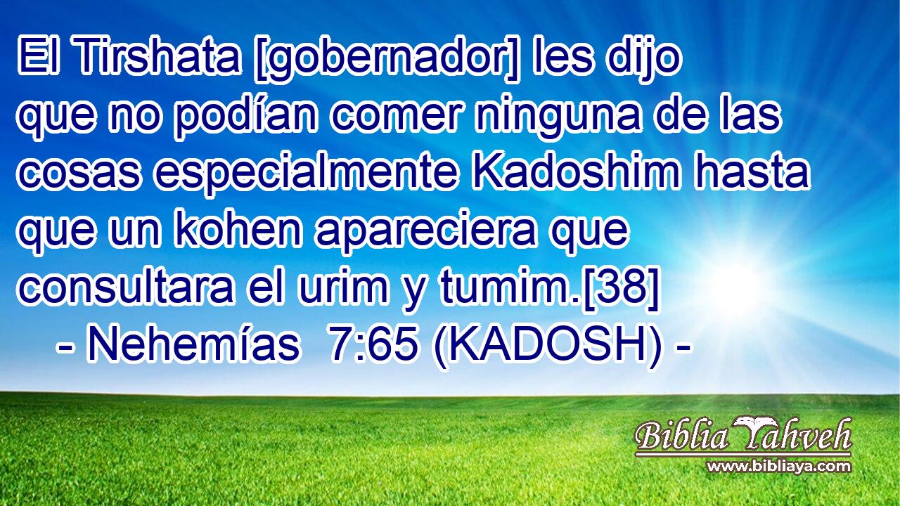  El Tirshata [gobernador] les dijo que no podían comer ninguna de las cosas especialmente Kadoshim hasta que un kohen apareciera que consultara el urim y tumim.[38] 