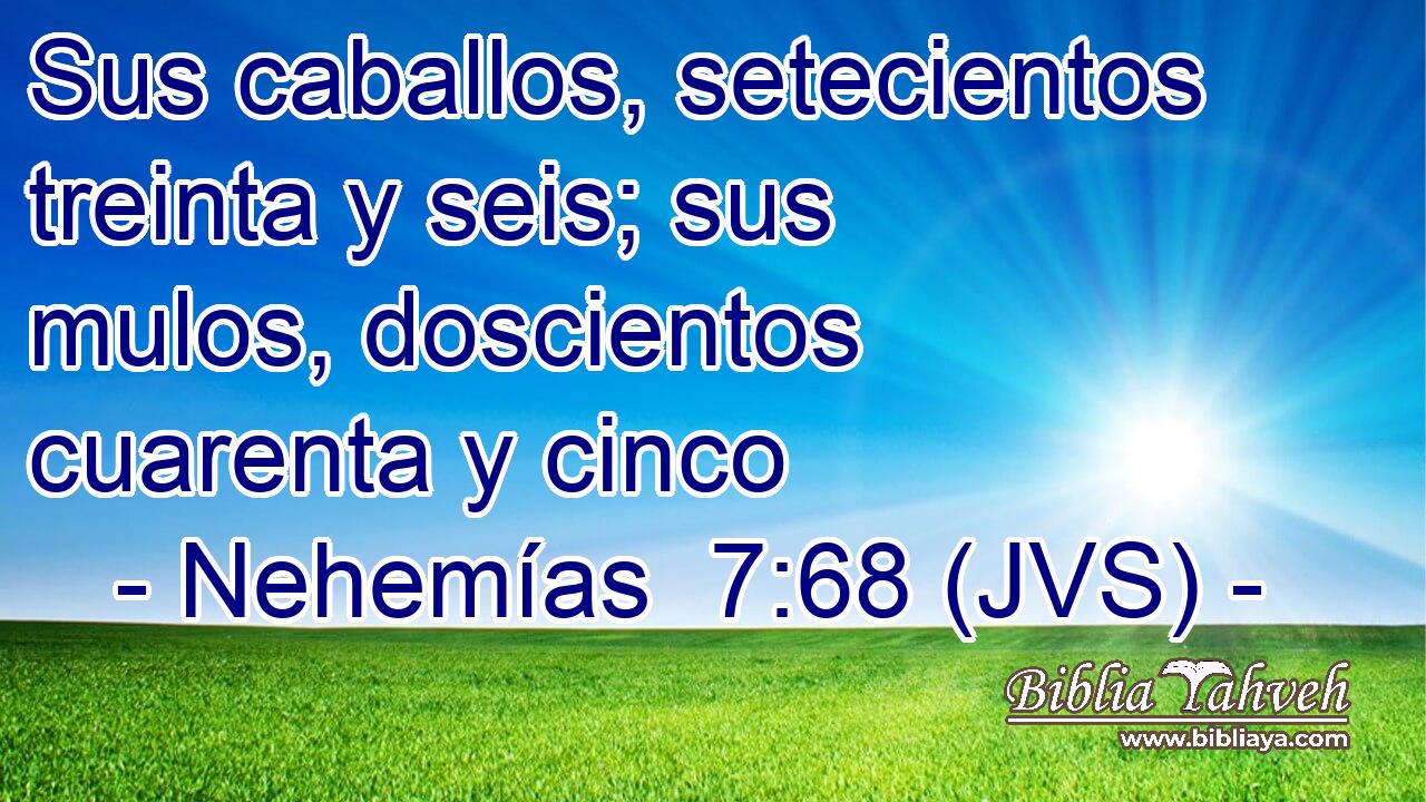 Sus caballos, setecientos treinta y seis; sus mulos, doscientos cuarenta y cinco