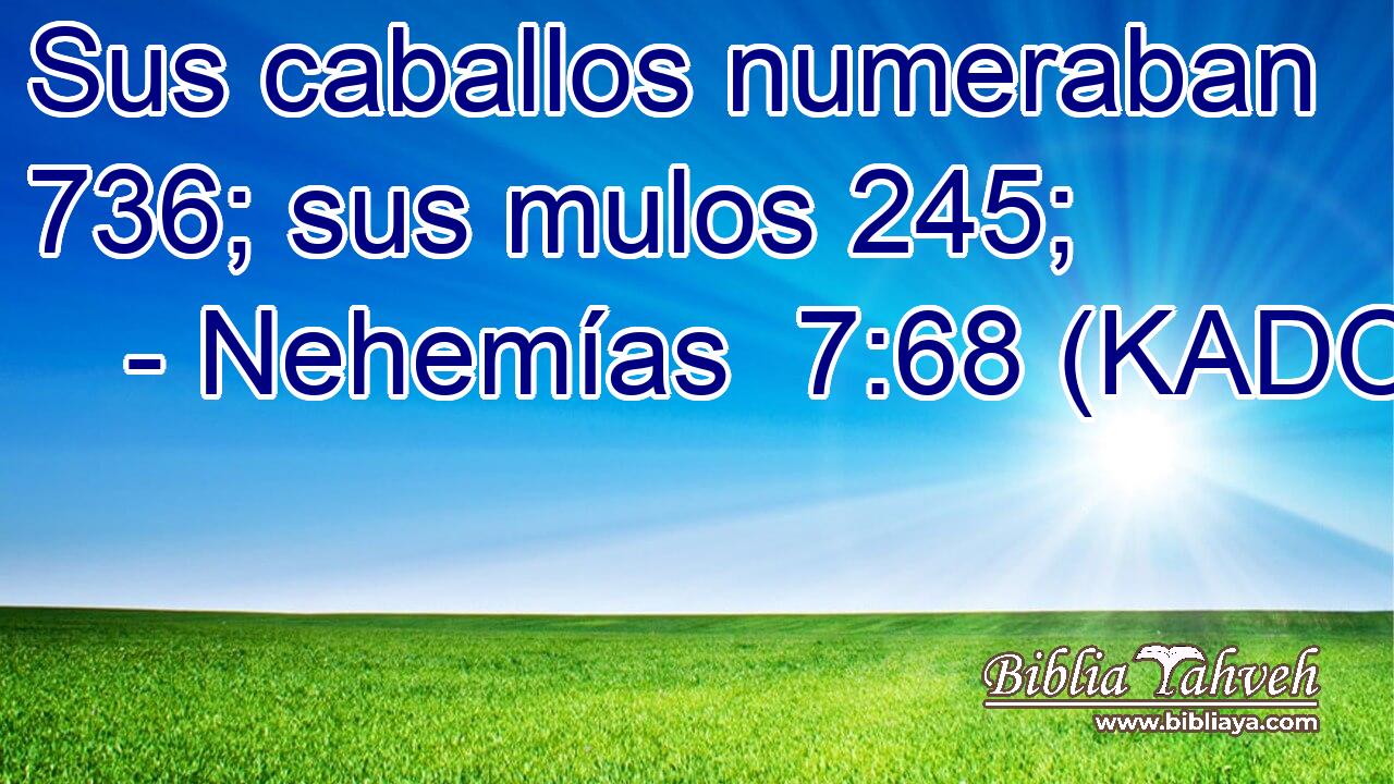  Sus caballos numeraban 736; sus mulos 245; 