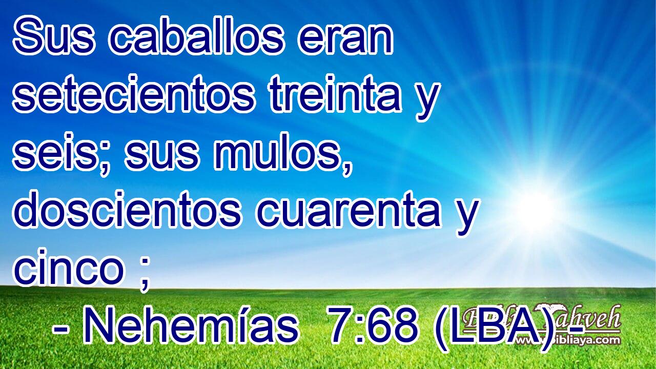 Sus caballos eran setecientos treinta y seis; sus mulos, doscientos cuarenta y cinco ;