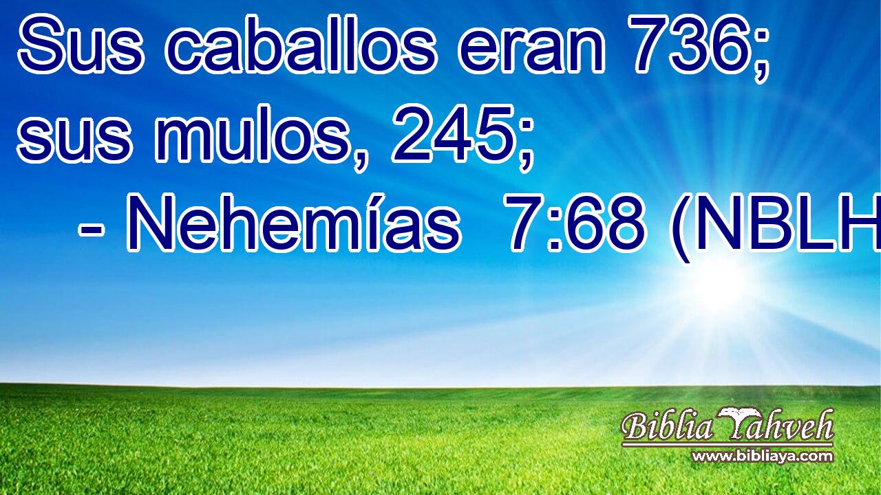  Sus caballos eran 736; sus mulos, 245; 