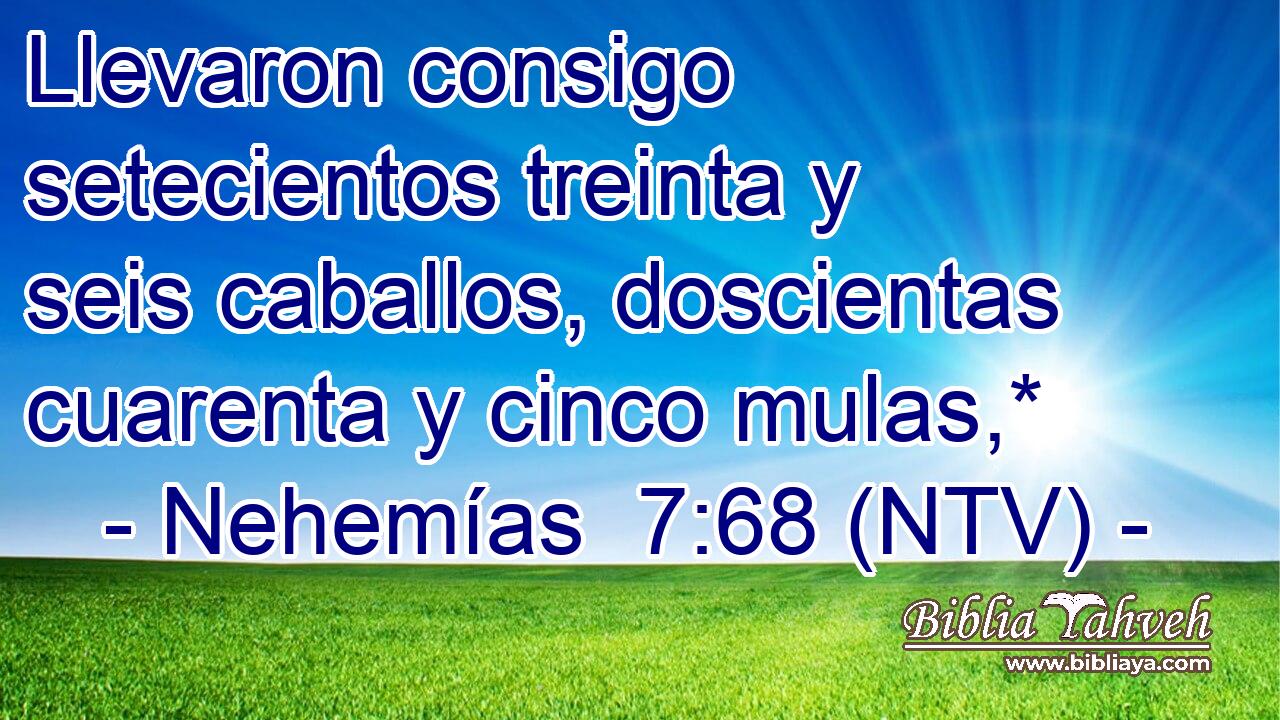 Llevaron consigo setecientos treinta y seis caballos, doscientas cuarenta y cinco mulas,*