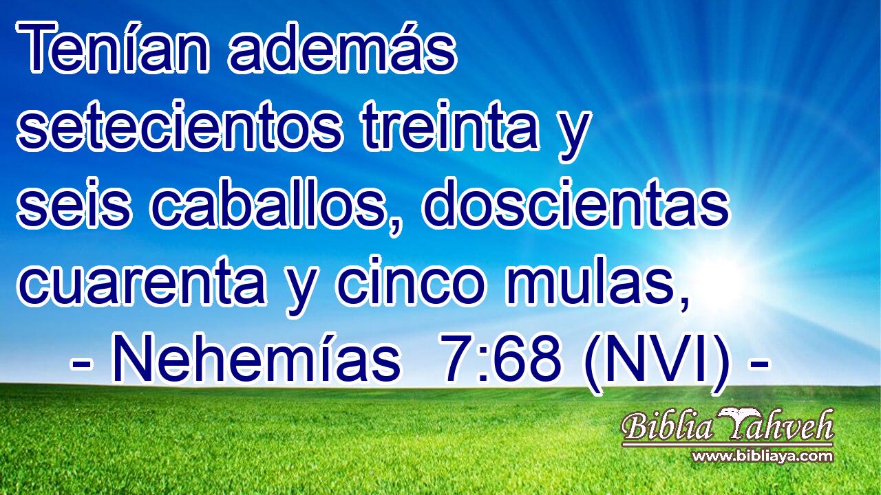  Tenían además setecientos treinta y seis caballos, doscientas cuarenta y cinco mulas, 