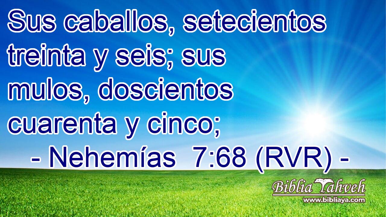 Sus caballos, setecientos treinta y seis; sus mulos, doscientos cuarenta y cinco;