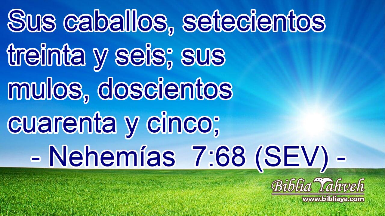 Sus caballos, setecientos treinta y seis; sus mulos, doscientos cuarenta y cinco;