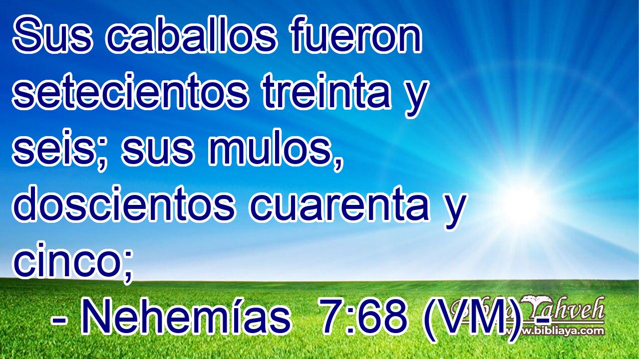  Sus caballos fueron setecientos treinta y seis; sus mulos, doscientos cuarenta y cinco; 