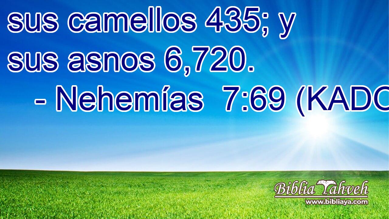  sus camellos 435; y sus asnos 6,720. 