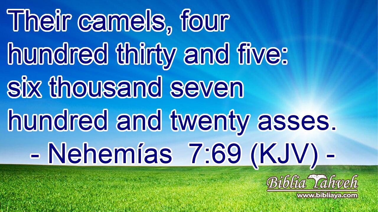 Their camels, four hundred thirty and five: six thousand seven hundred and twenty asses.