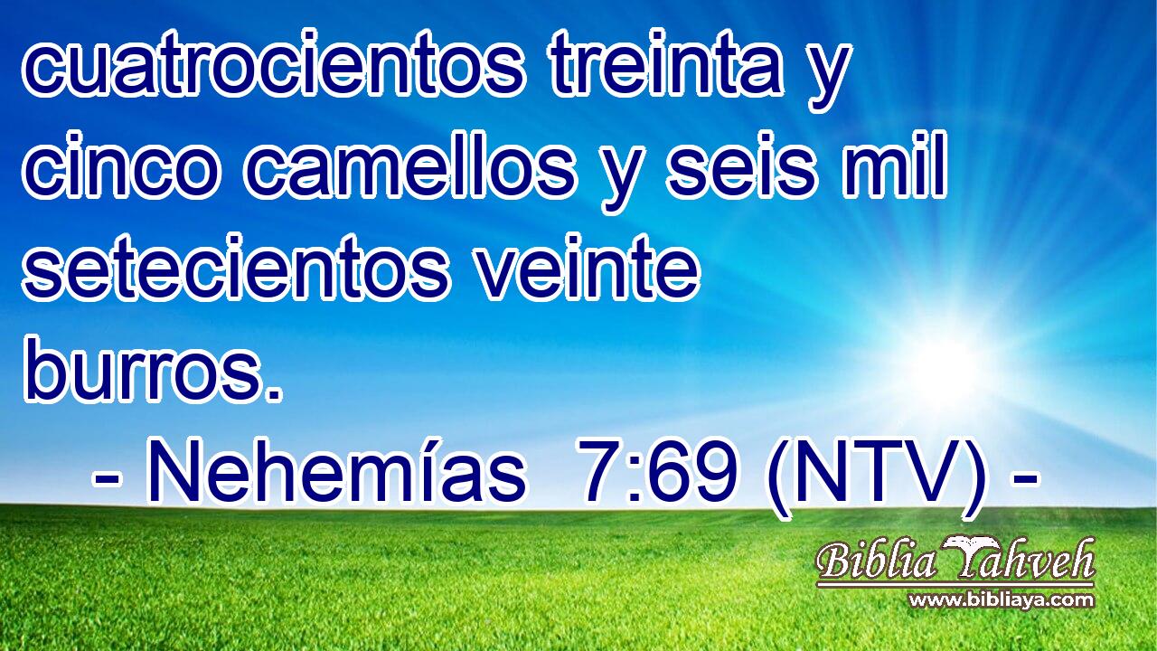 cuatrocientos treinta y cinco camellos y seis mil setecientos veinte burros.