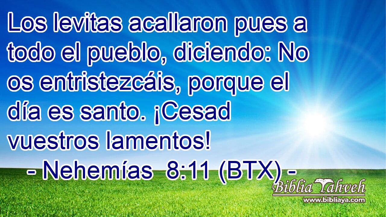 Los levitas acallaron pues a todo el pueblo, diciendo: No os entristezcáis, porque el día es santo. ¡Cesad vuestros lamentos!