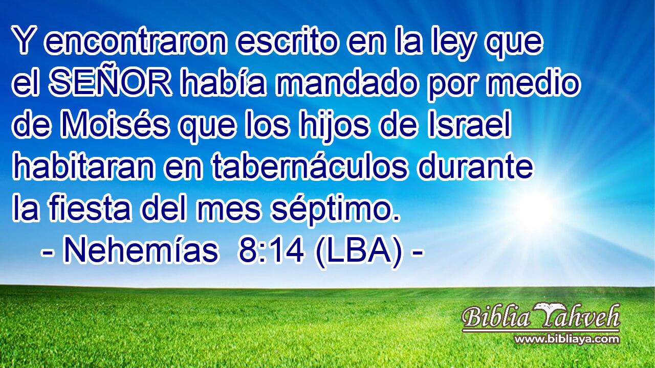 Y encontraron escrito en la ley que el SEÑOR había mandado por medio de Moisés que los hijos de Israel habitaran en tabernáculos durante la fiesta del mes séptimo.