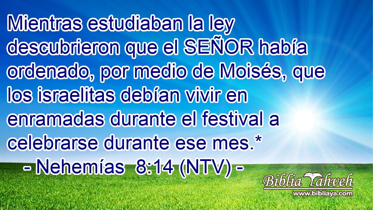 Mientras estudiaban la ley descubrieron que el SEÑOR había ordenado, por medio de Moisés, que los israelitas debían vivir en enramadas durante el festival a celebrarse durante ese mes.*