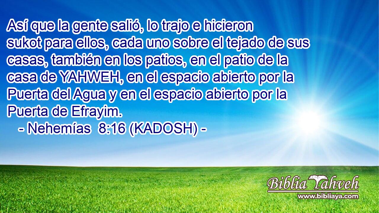  Así que la gente salió, lo trajo e hicieron sukot para ellos, cada uno sobre el tejado de sus casas, también en los patios, en el patio de la casa de YAHWEH, en el espacio abierto por la Puerta del Agua y en el espacio abierto por la Puerta de Efrayim. 
