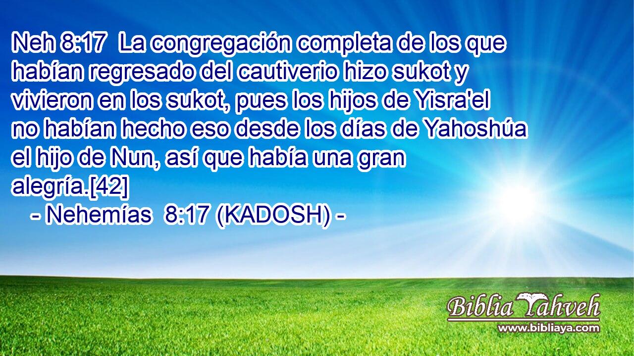  La congregación completa de los que habían regresado del cautiverio hizo sukot y vivieron en los sukot, pues los hijos de Yisra'el no habían hecho eso desde los días de Yahoshúa el hijo de Nun, así que había una gran alegría.[42] 