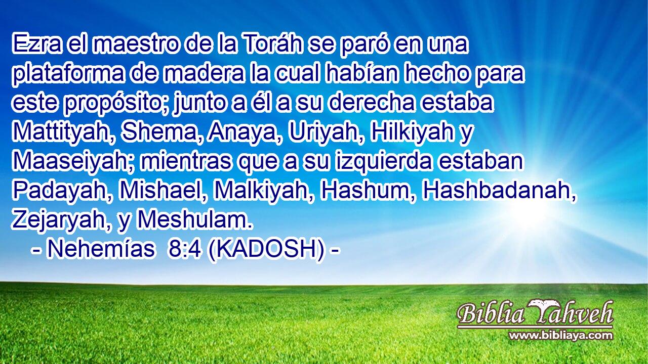  Ezra el maestro de la Toráh se paró en una plataforma de madera la cual habían hecho para este propósito; junto a él a su derecha estaba Mattityah, Shema, Anaya, Uriyah, Hilkiyah y Maaseiyah; mientras que a su izquierda estaban Padayah, Mishael, Malkiyah, Hashum, Hashbadanah, Zejaryah, y Meshulam. 