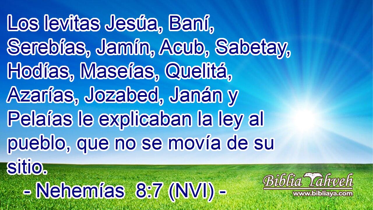  Los levitas Jesúa, Baní, Serebías, Jamín, Acub, Sabetay, Hodías, Maseías, Quelitá, Azarías, Jozabed, Janán y Pelaías le explicaban la ley al pueblo, que no se movía de su sitio. 