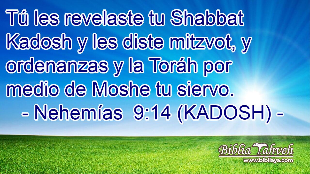  Tú les revelaste tu Shabbat Kadosh y les diste mitzvot, y ordenanzas y la Toráh por medio de Moshe tu siervo. 