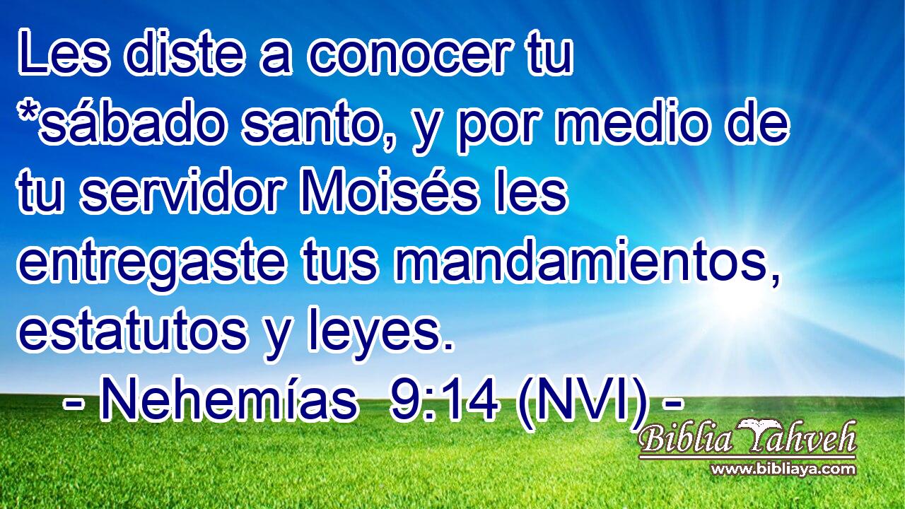  Les diste a conocer tu *sábado santo, y por medio de tu servidor Moisés les entregaste tus mandamientos, estatutos y leyes. 