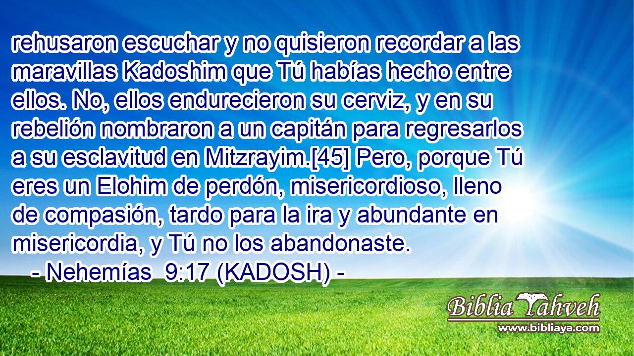  rehusaron escuchar y no quisieron recordar a las maravillas Kadoshim que Tú habías hecho entre ellos. No, ellos endurecieron su cerviz, y en su rebelión nombraron a un capitán para regresarlos a su esclavitud en Mitzrayim.[45] Pero, porque Tú eres un Elohim de perdón, misericordioso, lleno de compasión, tardo para la ira y abundante en misericordia, y Tú no los abandonaste. 