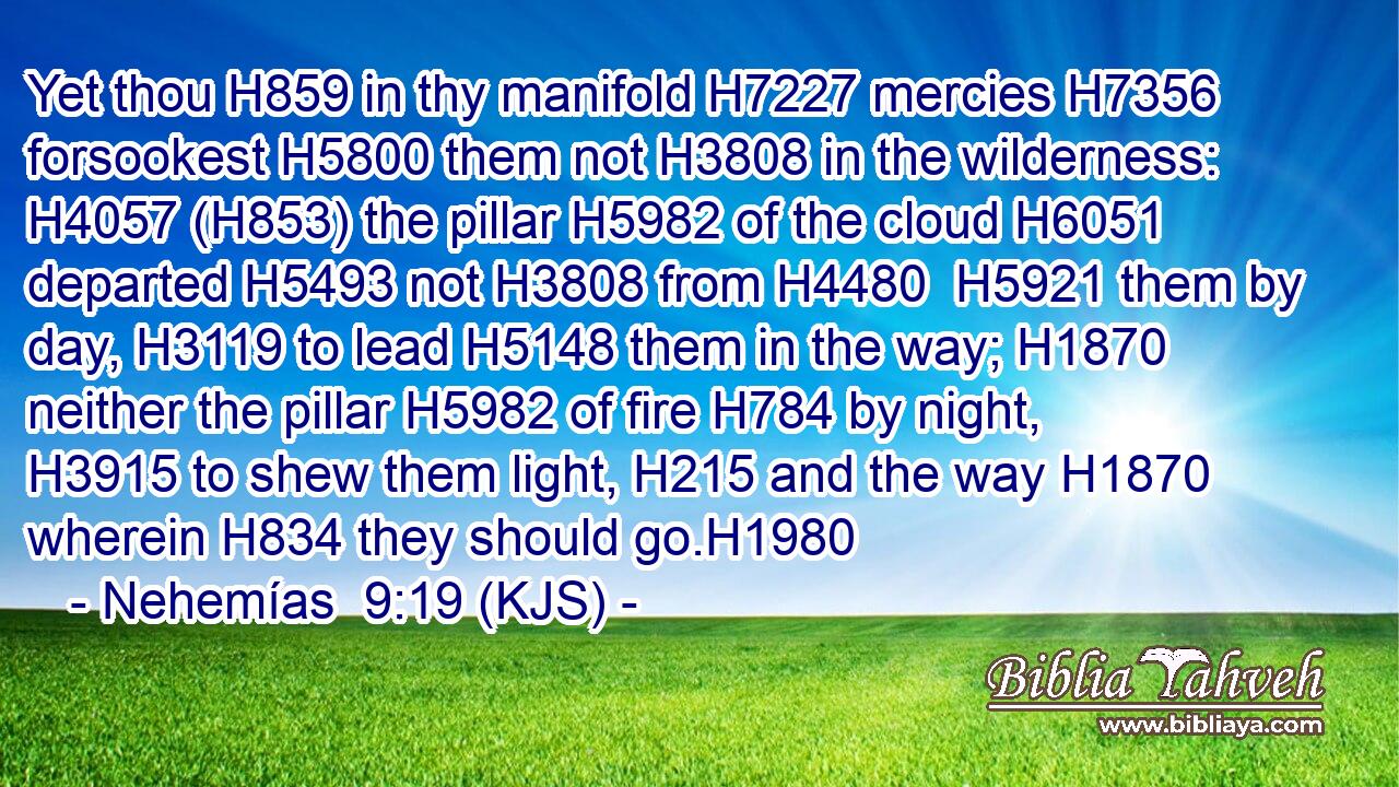 Yet thou H859 in thy manifold H7227 mercies H7356 forsookest H5800 them not H3808 in the wilderness: H4057 (H853) the pillar H5982 of the cloud H6051 departed H5493 not H3808 from H4480  H5921 them by day, H3119 to lead H5148 them in the way; H1870 neither the pillar H5982 of fire H784 by night, H3915 to shew them light, H215 and the way H1870 wherein H834 they should go.H1980