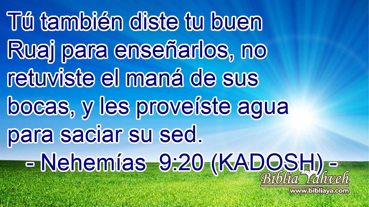  Tú también diste tu buen Ruaj para enseñarlos, no retuviste el maná de sus bocas, y les proveíste agua para saciar su sed. 