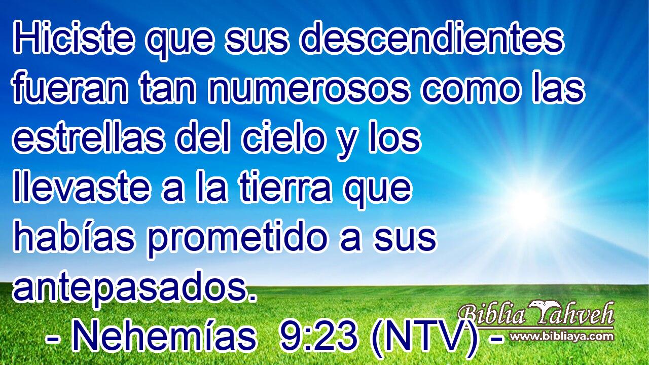 Hiciste que sus descendientes fueran tan numerosos como las estrellas del cielo y los llevaste a la tierra que habías prometido a sus antepasados.