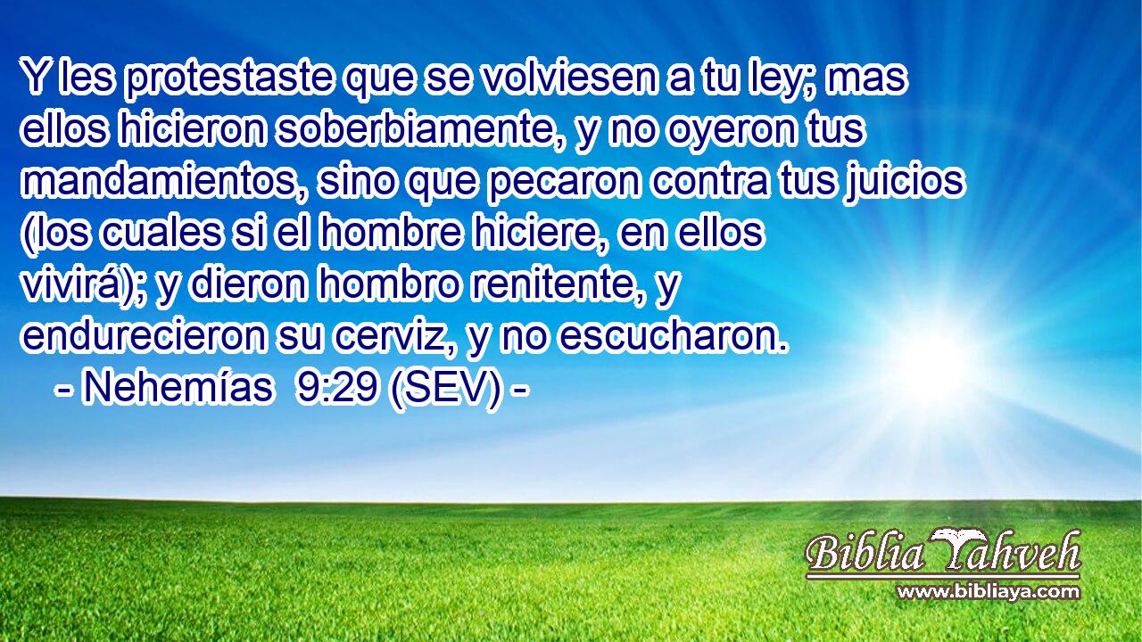 Y les protestaste que se volviesen a tu ley; mas ellos hicieron soberbiamente, y no oyeron tus mandamientos, sino que pecaron contra tus juicios (los cuales si el hombre hiciere, en ellos vivirá); y dieron hombro renitente, y endurecieron su cerviz, y no escucharon.