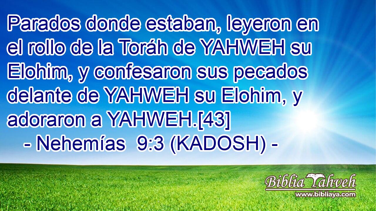  Parados donde estaban, leyeron en el rollo de la Toráh de YAHWEH su Elohim, y confesaron sus pecados delante de YAHWEH su Elohim, y adoraron a YAHWEH.[43] 