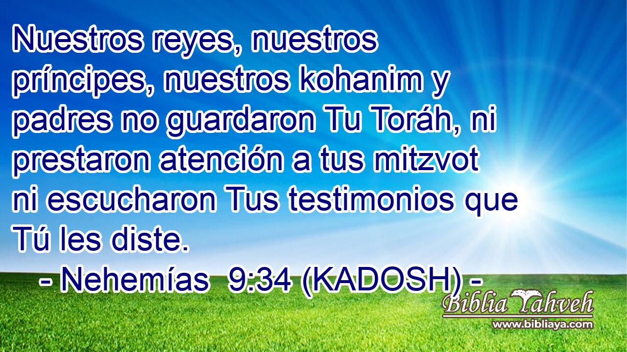  Nuestros reyes, nuestros príncipes, nuestros kohanim y padres no guardaron Tu Toráh, ni prestaron atención a tus mitzvot ni escucharon Tus testimonios que Tú les diste. 
