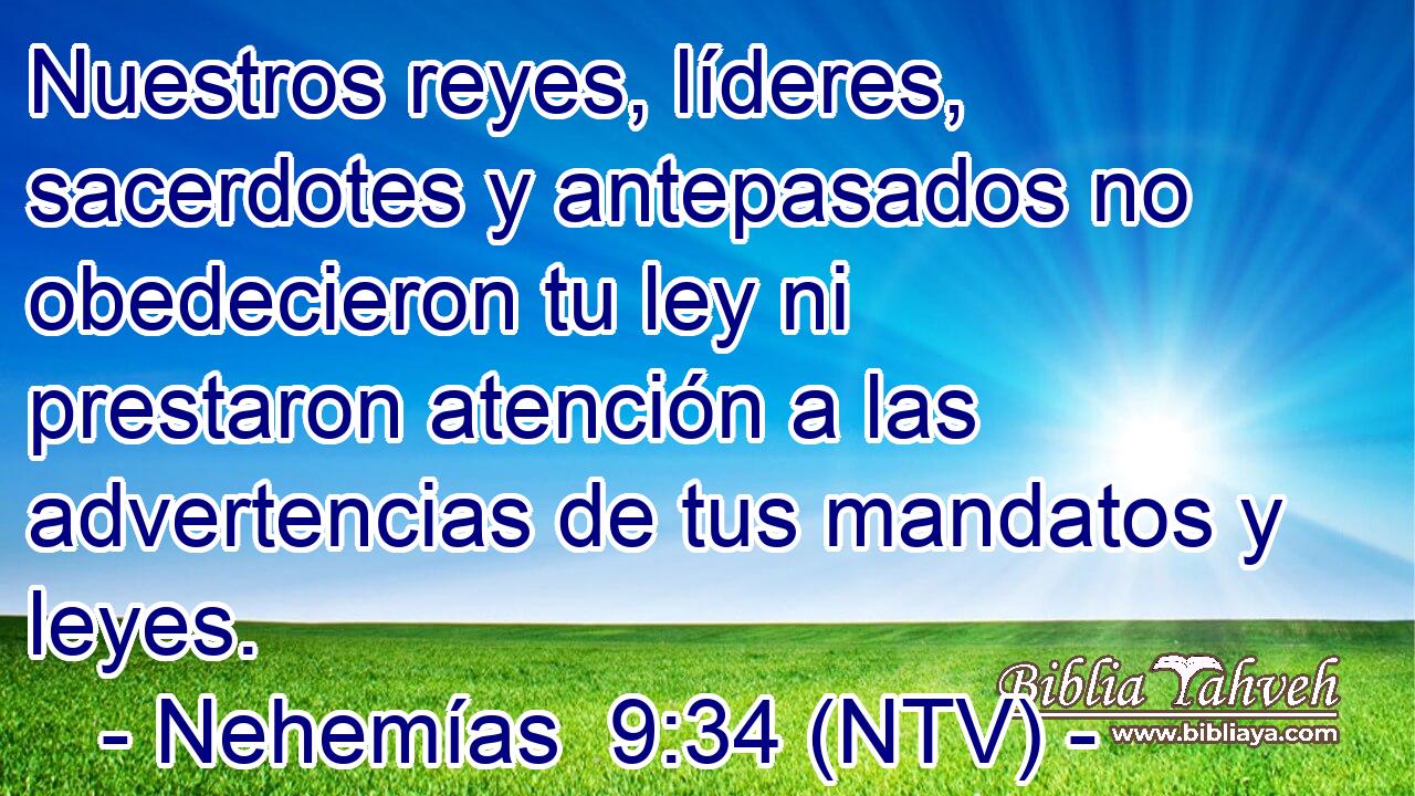 Nuestros reyes, líderes, sacerdotes y antepasados no obedecieron tu ley ni prestaron atención a las advertencias de tus mandatos y leyes.